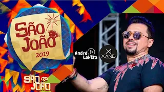 XANDE AVIÃO- XOTE E PE DE SERRA- TOP - SAO JOAO -2K19  (#DANILOMUSIC)