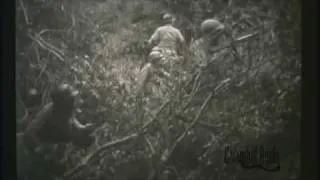 8th Infantry Division in Normandy 1944 World War II Combat Films