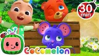 Peekaboo (I See You) | CoComelon JJ's Animal Time | Animal Songs for Kids