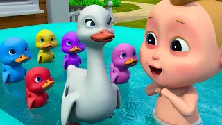 Five Little Ducks Nursery Rhymes | Baa Baa Black Sheep | +More Kids Song & Nursery Rhymes