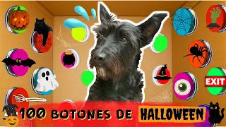 100 BOTONES MISTERIOSOS de HALLOWEEN 👻 / Lana