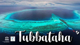 TUBBATAHA The Crown Jewel of the Philippines