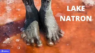 Discover Lake Natron, The Lake that Turns Animals to Stones