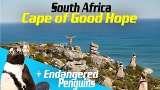 Things TO DO in CAPE TOWN 2023 ► | Cape of Good Hope, Penguins, and Breathtaking Wildlife