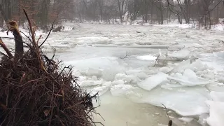 Ice out on the Huntington River, Huntington, Vermont 1/24/19