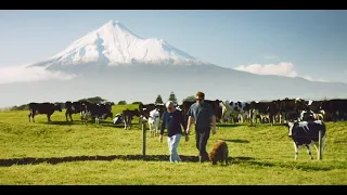 Fonterra - Diversity and Inclusion Leadership Finalist - Deloitte Top 200 2021