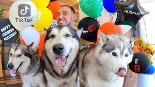 Собаки и 1000 суши роллов / ВЛОГ: День Рождения HUSMUT Мишани