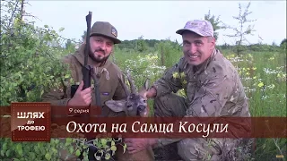 Охота на Самца Косули [Шлях до Трофею №9]