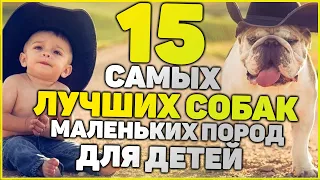 ТОП 15 Лучших Собак Для Детей - Рейтинг 2020 года