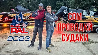 PAL 2023. Сом. Проводки. Судаки.