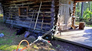 Working on the Off Grid Log Cabin in one of the most Remote Places in the Maine Woods (with a dog)