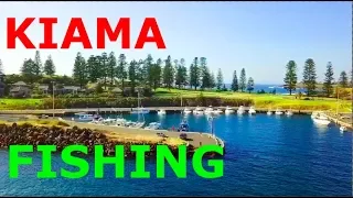 Fishing NSW. Squid Catch & Cook 4K HD - Kiama