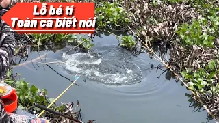 ✅ Hướng dẫn bài mồi câu cá rô phi, cá trôi, hiệu quả, dễ làm | DUY FISHING SAI GON