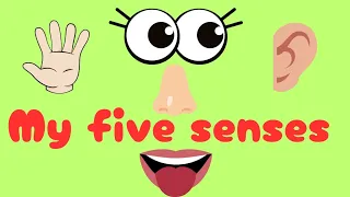Learn the five senses, my five senses.