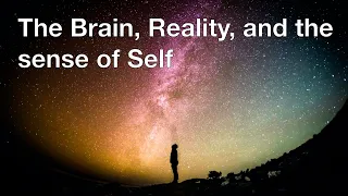 The Brain, Reality and the Sense of Self