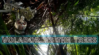 FlyFish Volador vs The Trees / DJI FPV
