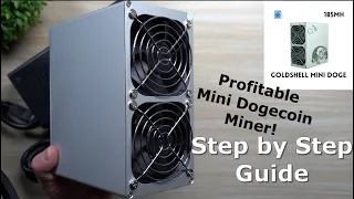 Mini Dogecoin + Litecoin Miner | Affordable & Profitable - Step By Step Setup