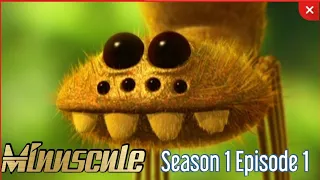 Minuscule season 1 episode 1 | old cartoons anime | bugs 🐞 cartoon |