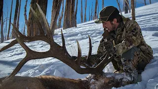 Zahniser | A Wyoming Wilderness Elk Hunt