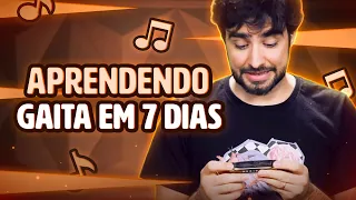 CONSEGUI APRENDER A TOCAR GAITA EM 7 DIAS?!!