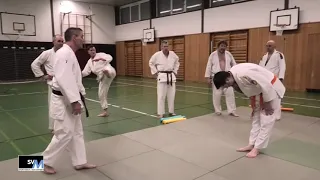 Training der Erwachsenen im Ju-Jutsu