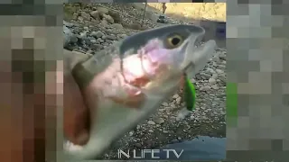 необычные случаи на рыбалке