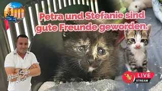 Petra und Stefanie sind gute Freunde geworden.