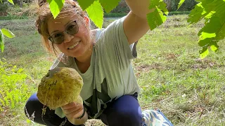 EP.4 เก็บเห็ดผึ้งหวานสนุกๆ อังกฤษPorcini penny bun mushrooms picking 🇬🇧