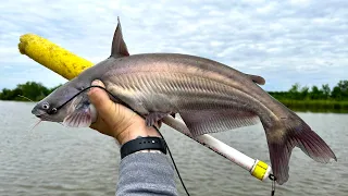 Jug Line Fishing for DELICIOUS Louisiana Catfish | CATCH And COOK