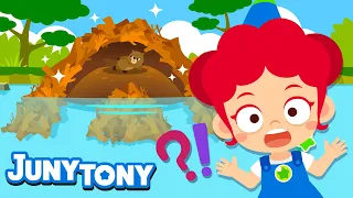 🏡Houses of the Animals | Oh no! 🦝Raccoon's house is gone! | Animal Songs for Kids | JunyTony