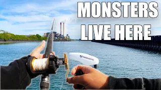 Fishing Tampa Bay Power Plants For MONSTERS!