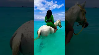 How to swim with horses 🐎 || Zanzibar travel guide/vlog #shortsfeed #viral #travel #swimming