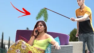 Shake with a branch Prank!   - AWESOME REACTIONS - Best of Just For Laughs