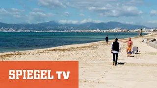 Die Party ist vorbei: Neue Armut auf Mallorca | SPIEGEL TV