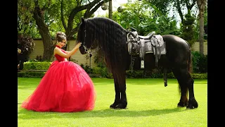 princess with a horse /Coloring pages Princess