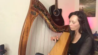 Celtic Harp - The Lovers' Glances by Carol Wood