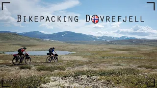 Bikepacking Dovrefjell - der etwas ungeplante Mädelsurlaub