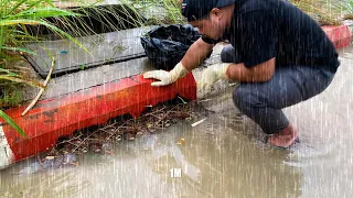 Unclogging Storm Drains Unblocking Drain After Raining