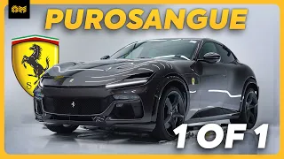 The NEW Purosangue! [IS THIS FERRARI WORTHY?] - #OneOfAKind