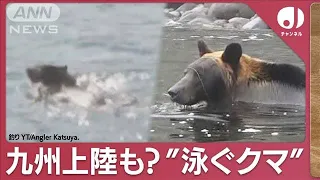 「関門海峡渡る能力ある」身体能力　定置網にかかるクマ【スーパーJチャンネル】(2023年12月5日)