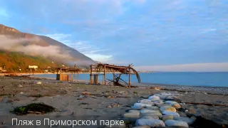 Абхазия – весенняя Гагра в марте | Приморский парк, пляжи, погода и море в марте