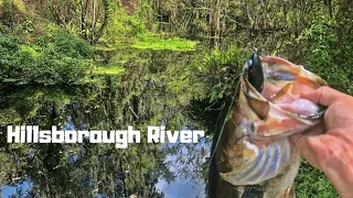 Fishing the Urban Jungle | Hillsborough River