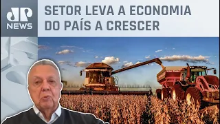 Especialista analisa crescimento do PIB do agro do Brasil: “Safra recorde de grãos”