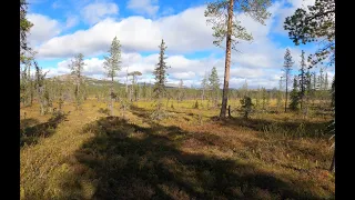 Vaellus 2022 Osa 3. Urho Kekkosen Kansallispuisto, RajaJooseppi - Saariselkä