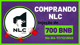 Como comprar NLC Nelore coin