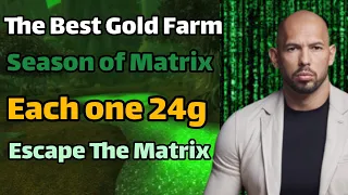 The Best Gold Farm In Season of Discovery Each One 24g😰#wowclassic