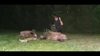 Sudecka Ostoja 29/2020. Polowanie na dziki i lisy. Hunting Wild Boars in Poland.