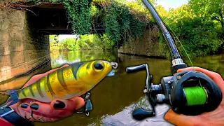 1 an après... Je retourne sur ma Rivière de Cœur et cette Technique est Redoutable !