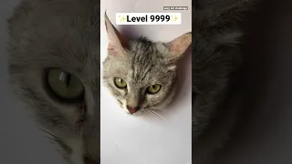 Realistic Cat Drawing Techniques 🎨 #shorts #art #viral