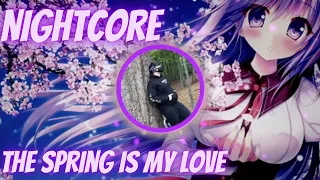 Nightcore - Talla 2XLC – The Spring Is My Love [DENIZ] Lyrics